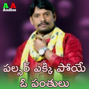 Listen to Pulsar Ekki Poye Oh Panthulu song with lyrics from Avudurthi Laxman