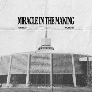 收聽Tehillah Worship的Goodness and Mercy (Live)歌詞歌曲