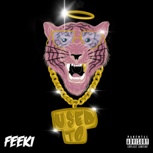 Album Used To (Explicit) from Feeki