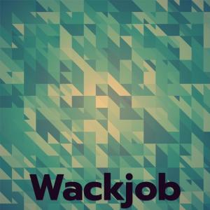 ดาวน์โหลดและฟังเพลง Wackjob พร้อมเนื้อเพลงจาก Dele Leka