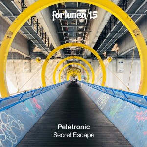 Peletronic的专辑Secret Escape