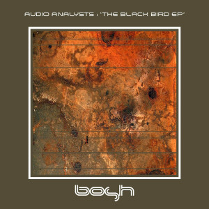 Listen to The Black Bird song with lyrics from Audio Analysts