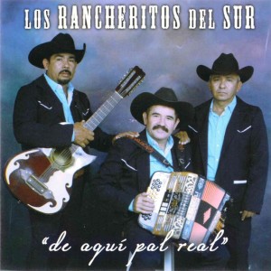 Dengarkan lagu Para Sudar La Camisa nyanyian Los Rancheritos Del Sur dengan lirik