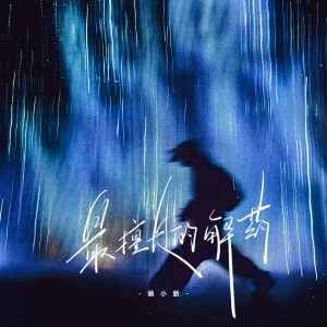 Listen to 最擅长的解药 (伴奏) song with lyrics from 萌小新