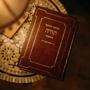 Album Jewish Meditation oleh Shalom Architect