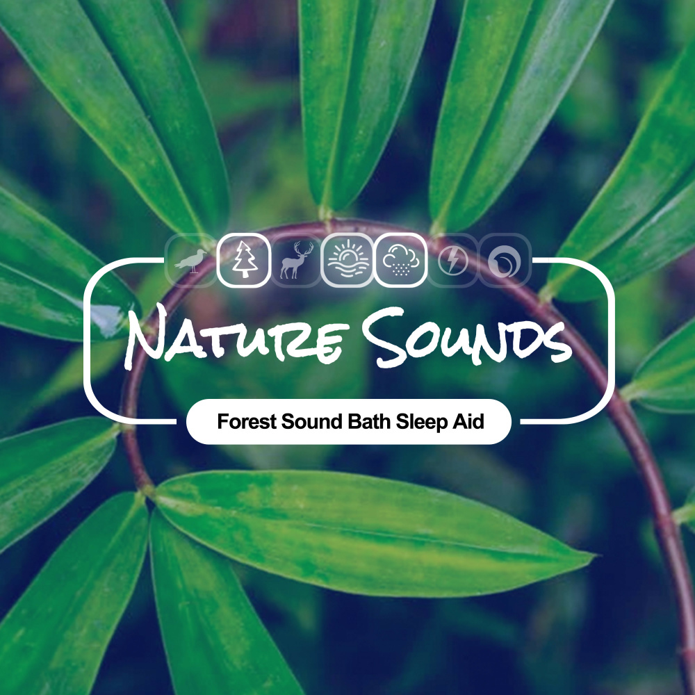 Forest Soundbath Sleep Aid
