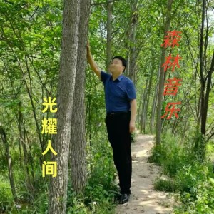 Listen to 光耀人间 (完整版) song with lyrics from 孙树森