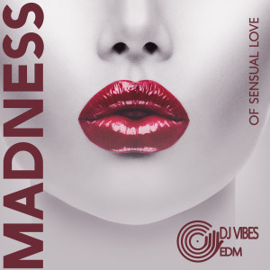 Album Madness of Sensual Love from Dj Vibes EDM