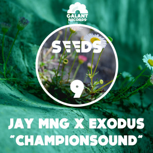 收聽JAY MNG的Championsound歌詞歌曲