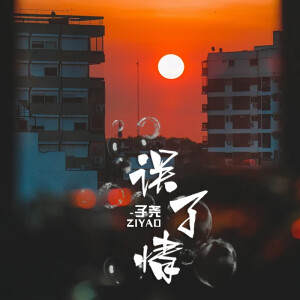Album 误了情 from 子尧（阮洪尧）