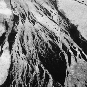 Listen to Metal Violets song with lyrics from Jesse Draxler