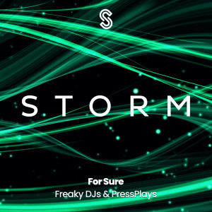 Freaky DJs的专辑For Sure