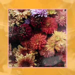 Album 여기 있을게요 from 