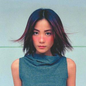 Listen to Chang Hai ("Hong Dou" Cantonese Ver.) song with lyrics from Faye Wong (王菲)