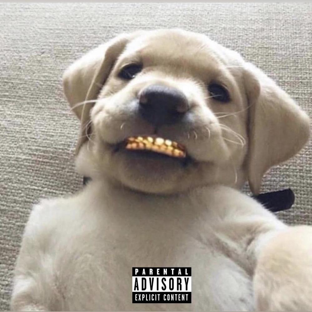 Vice Grip (Explicit)