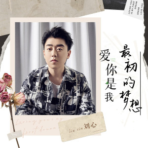 收聽劉心的愛你是我最初的夢想歌詞歌曲