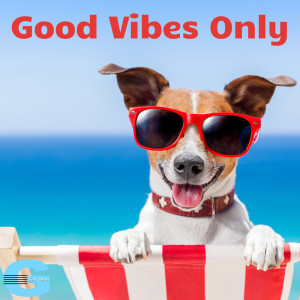 Album Good Vibes Only oleh Alan Paul Ett