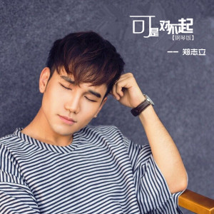 Listen to 可是对不起 (钢琴版) song with lyrics from 郑志立