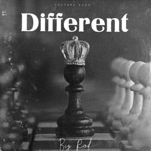 Album Different (Explicit) from Big Rod