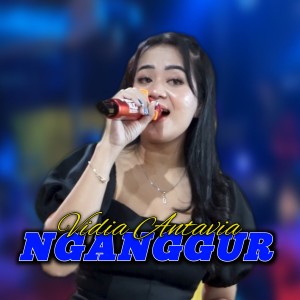 Album Nganggur from Vidia Antavia