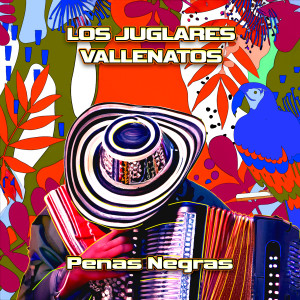 Listen to Penas Negras song with lyrics from Los Juglares Vallenatos