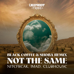 อัลบัม Not The Same (Black Coffee feat. Shoba Remix) ศิลปิน Black Coffee