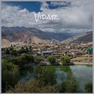 Album Vidar from Various