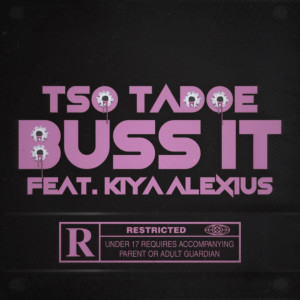 ดาวน์โหลดและฟังเพลง BUSS IT (Explicit) พร้อมเนื้อเพลงจาก TSO Tadoe