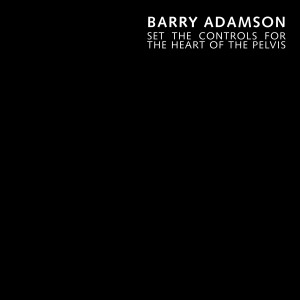 Barry Adamson的專輯Set the Controls for the Heart of the Pelvis (Single Version)
