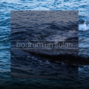 Listen to bodrum'un suları song with lyrics from Sıla