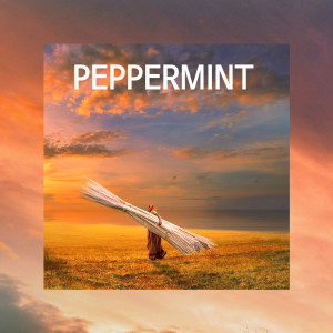 Dengarkan 좋았던 기억만 자꾸만 생각나 (feat. 묘수 & DJ Deborah) lagu dari Pepper Mint dengan lirik