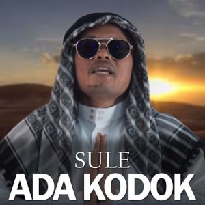 Dengarkan lagu Ada Kodok nyanyian Sule dengan lirik