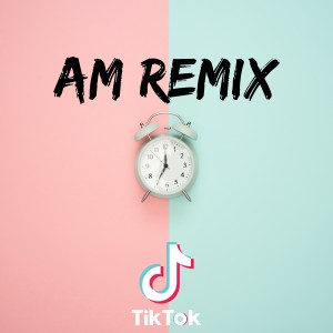 Dj TikTok Viral的专辑Am Remix