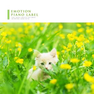 收听제리나的At The Dawn歌词歌曲