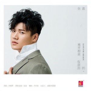 收聽張嘉的離開都是有原因的(越南鼓版) (越南鼓)歌詞歌曲