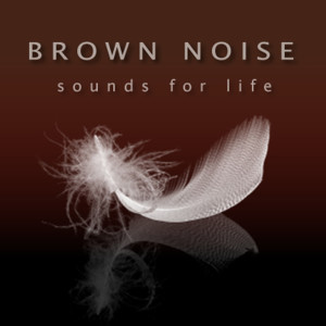 收听Sounds for Life的Brown Noise for Sleep歌词歌曲