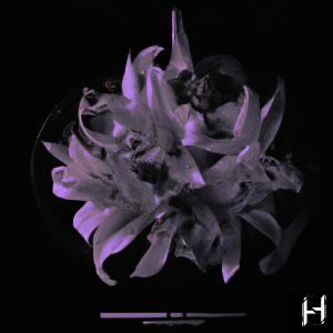 收聽Hyacinth的Distant Atmosphere歌詞歌曲