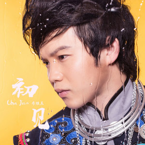 Dengarkan lagu 初见 (伴奏) nyanyian 李维真 dengan lirik