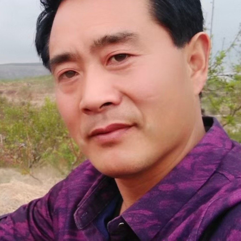 青苔与岩石