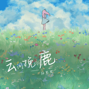 Album 云间揽小鹿 from 张思思