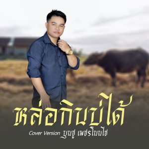 Listen to หล่อกินบ่ได้ song with lyrics from บุนชู เพชรโนนไช