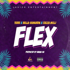 Dengarkan lagu Flex nyanyian Lakizo Entertainment dengan lirik
