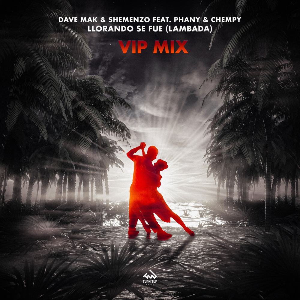 Llorando Se Fue (Lambada) (VIP Mix)