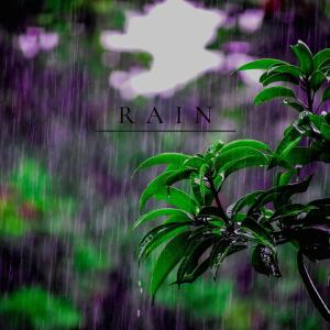 Album R A I N from Deep Rain Sampling