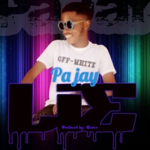 收聽PaJay的Lie歌詞歌曲