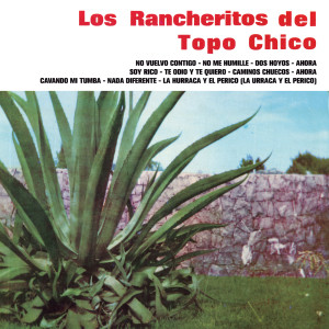 ดาวน์โหลดและฟังเพลง Te Odio Y Te Quiero พร้อมเนื้อเพลงจาก Los Rancheritos Del Topo Chico