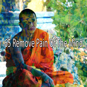 Meditation的專輯65 Remove Pain of the Mind