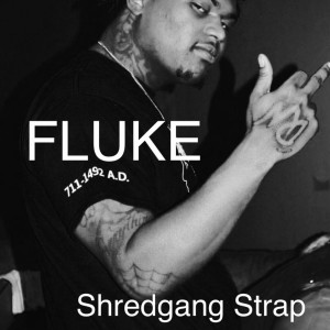 Album Fluke (Explicit) oleh Shredgang Strap