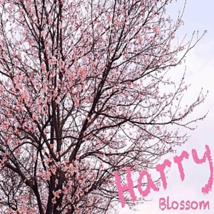 Listen to My Love song with lyrics from 해리