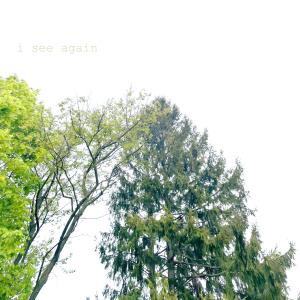 Listen to i see again song with lyrics from Lei